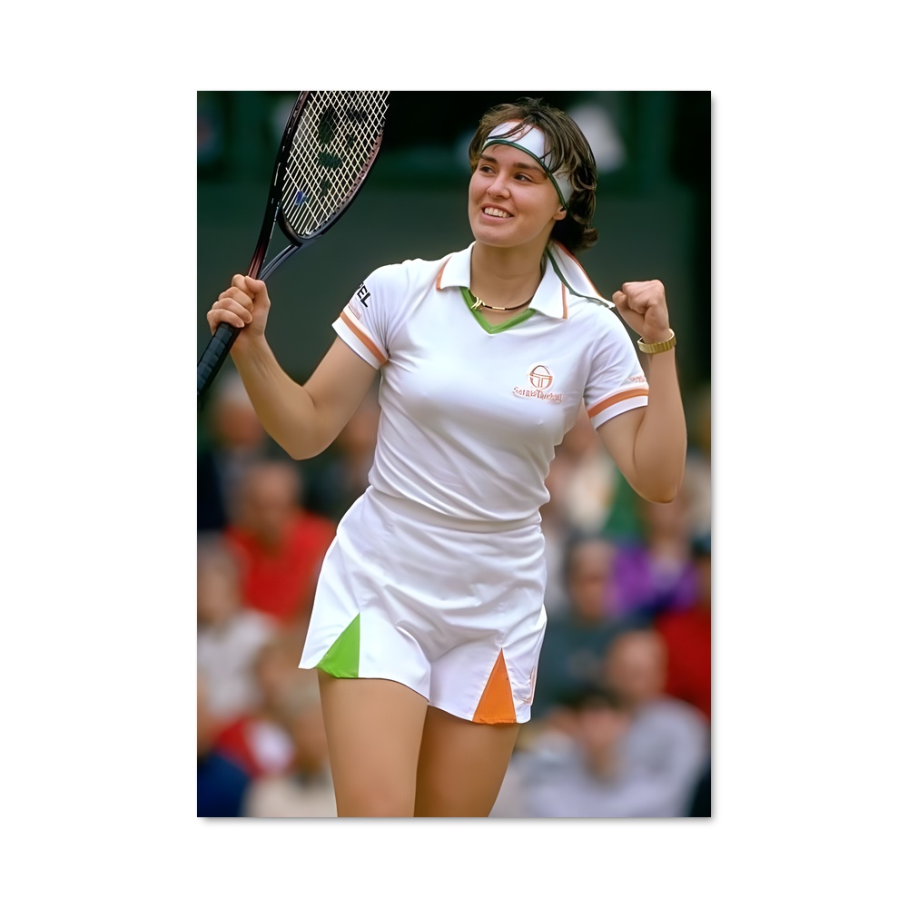 Poster Martina hingis